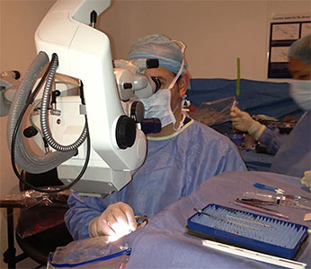 Ophthalmologist 11361